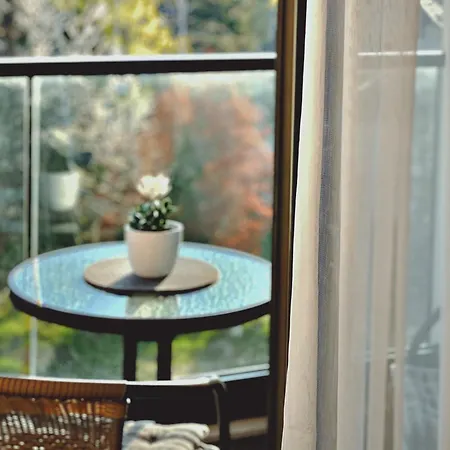 Tatarevic & Apartment *